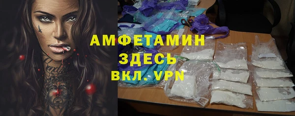 сатива Дмитровск