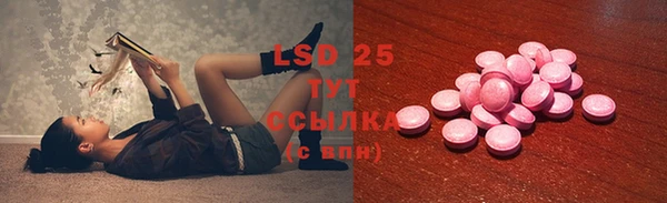 сатива Дмитровск