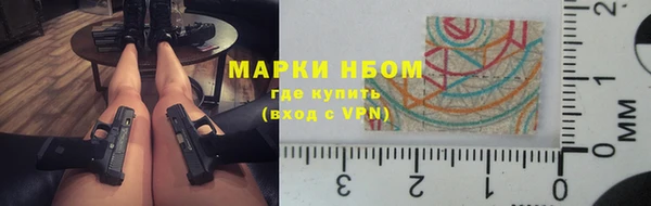 сатива Дмитровск