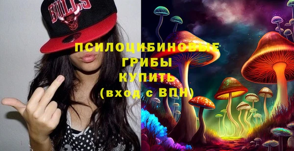 кокс Дмитриев