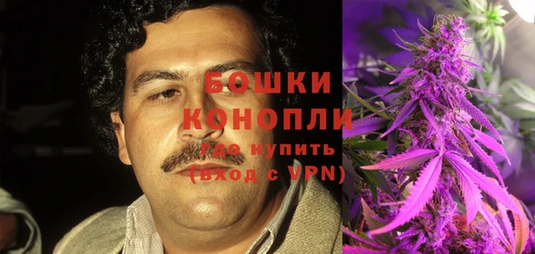 кокс Дмитриев