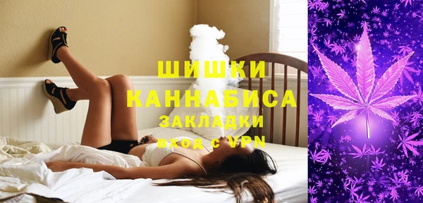 кокс Дмитриев