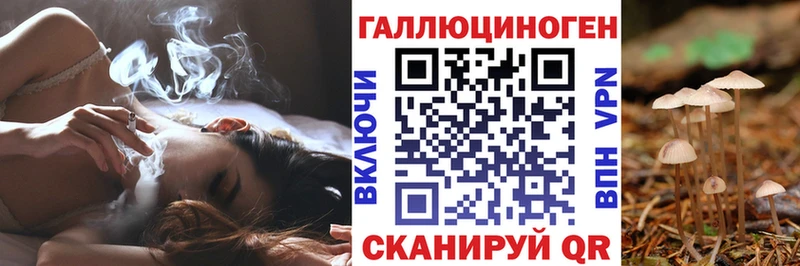 ссылка на мегу как зайти  Новочебоксарск  Псилоцибиновые грибы MAGIC MUSHROOMS 