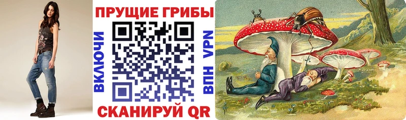 Псилоцибиновые грибы мицелий Новочебоксарск